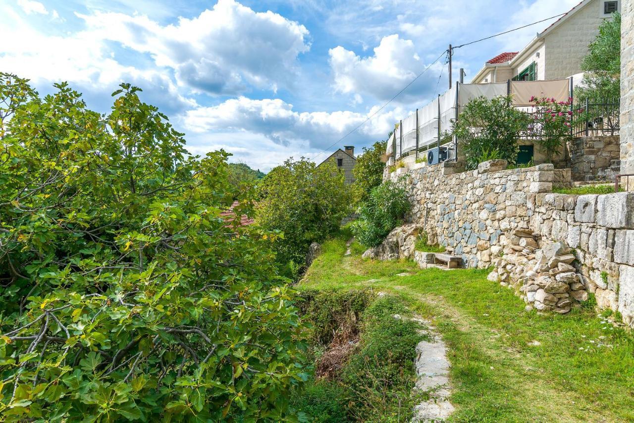 Villa Holiday Home Zvecanje Exterior photo